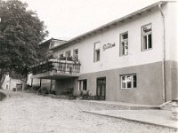 Vila Gavrilović, pročelje